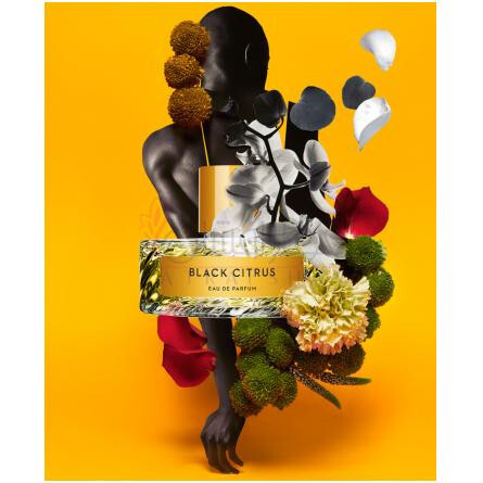 Black Citrus-ویلهلم پارفومری بلک سیتروس