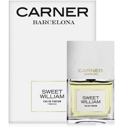 Sweet William-کارنر بارسلونا اسویت ویلیام