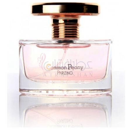 Common Peony 国色天香-پاریزینو کامان پیونی
