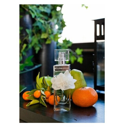 Wildbloom Vert-بنانا ریپابلیک ویلد بلوم ورت