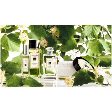 French Lime Blossom-جو مالون فرنچ لایم بلوسوم