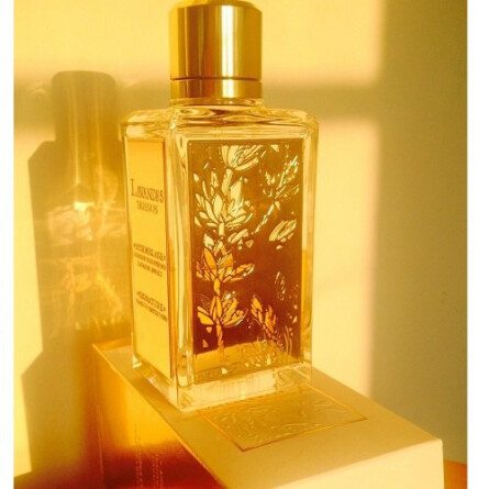 lavandes trianon perfume