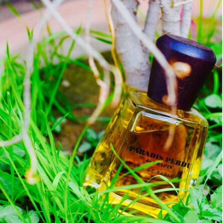 Paradis Perdu-فراپین پارادیس پردو