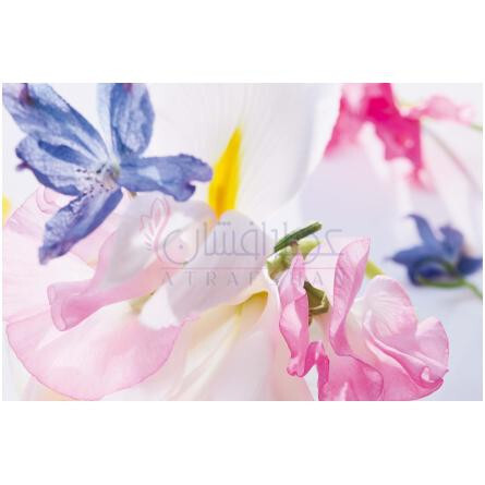 Miss Dior Eau de Parfum (2021)-دیور میس دیور ادوپرفیوم 2021