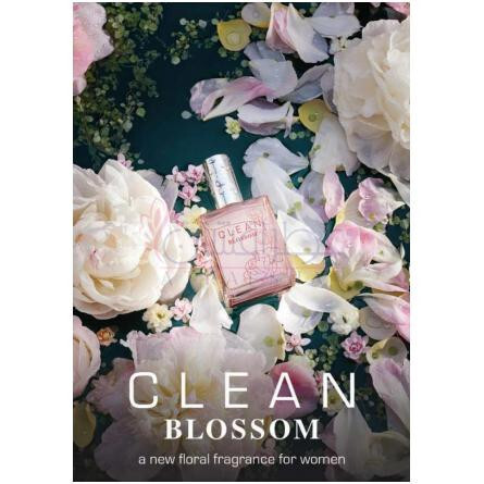 Clean Blossom-کلین بلوسوم