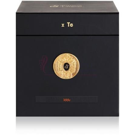 Iddu-تیزیانا ترنزی ایدو