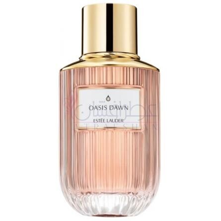Oasis Dawn-استی لودر اوسیس داون
