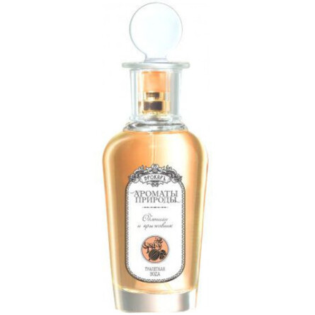 Облепиха и крыжовник - Sea buckthorn and Gooseberry-بروکارد سی باختام اند گوسبری