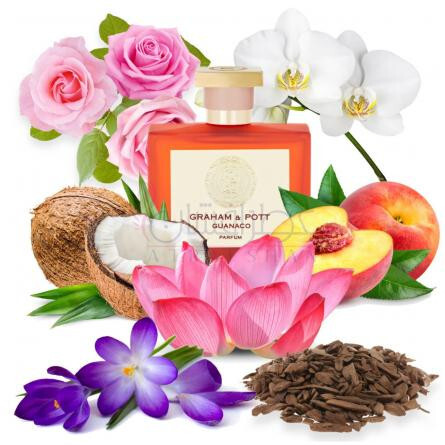 Guanaco-گراهام اند پات گواناکو