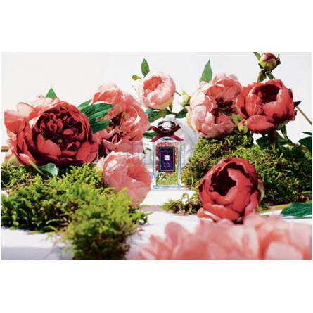 Peony & Moss-جو مالون پیونی اند موس