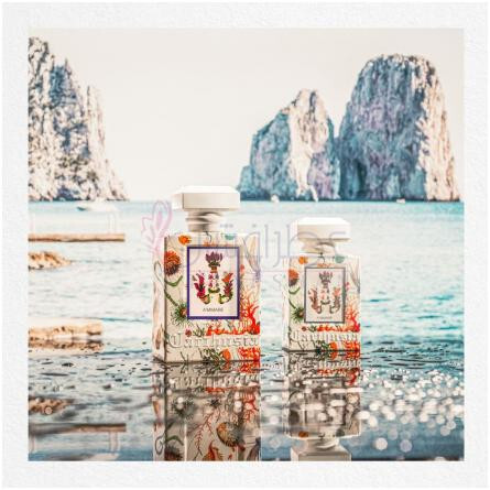 A'mmare-کارتوزیا اماره