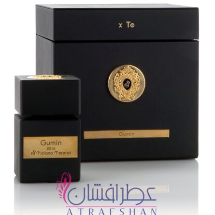Gumin-تیزیانا ترنزی گامین
