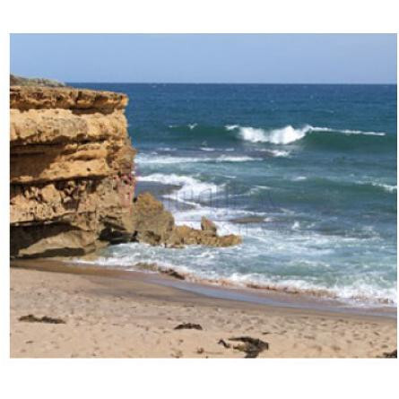 Ripsilver-بود پارفومز ریپسیلور