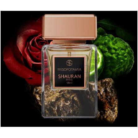 Mesopotamia-شاوران مسوپوتیمیا