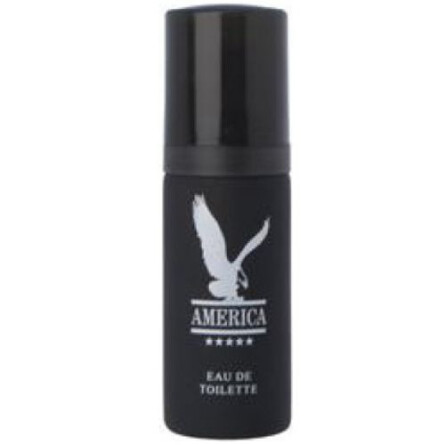 America-میلتون لوید آمریکا