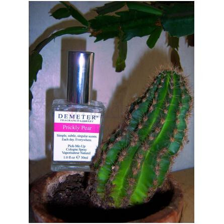 Prickly Pear-دیمتر فرگرنس پریکلی 