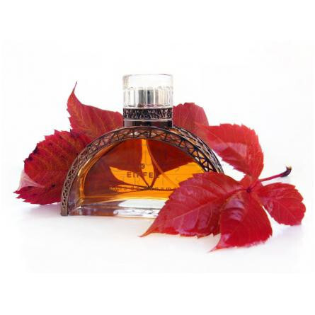 Bois de Panama-گوستاو ایفل بویس دی پاناما