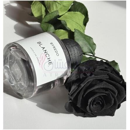 Blanche Absolu-بایردو بلانچ ابسولو