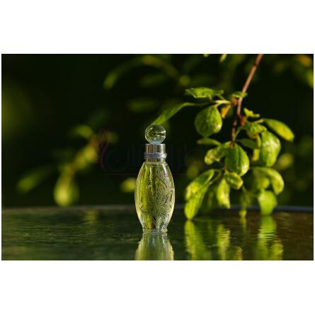 Odolen Herb Одолень-трава-لادنیکا اودولن هرب