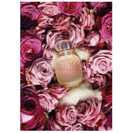 Une Folie de Rose-لس پارفومز دی روسین ان فولی دی رز