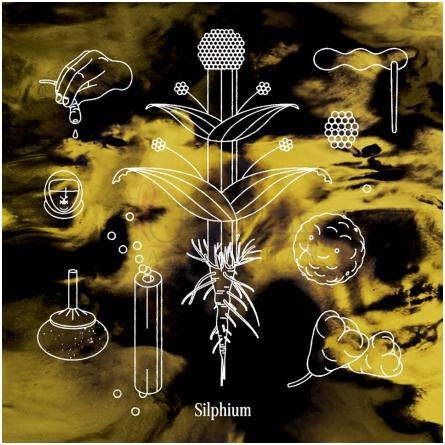 Silphium-استورا اسکوگان سیلفیم