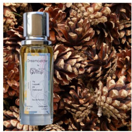 Dreamcatcher-سنت اس تریپ پرفیوم دریم کچر