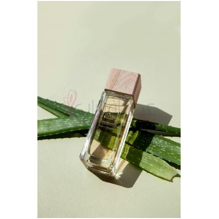 Misty Fjord-بی ای یو میستی فجورد