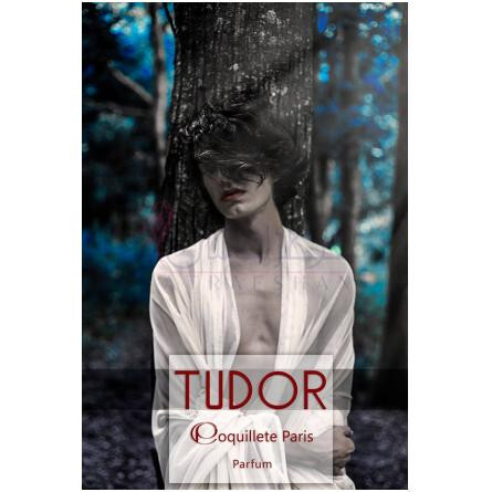 Tudor-کوکلت تودور