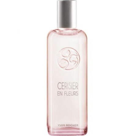 Cerisier en Fleurs-ایو روشه سریزیر ان فلورز