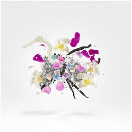 Newcleus-زرجوف نوکلیس