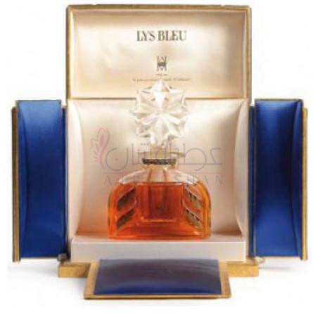 Lys Bleu-پرینس هنری دورلینس لیز بلو