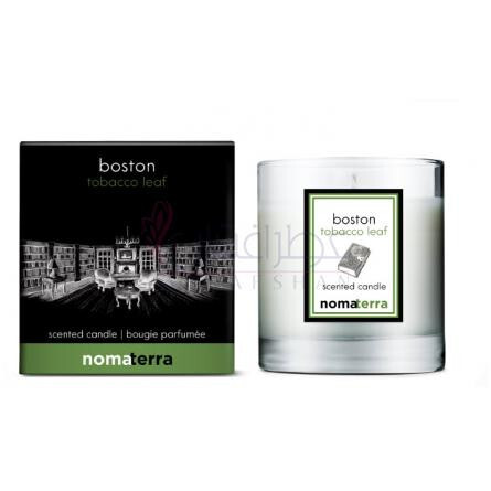 Boston Tobacco Leaf-نوماتيرا بوستون توباکو لیف