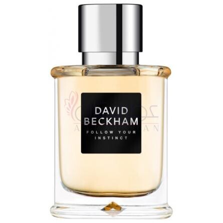 Follow Your Instinct-دیوید بکام فالو یور اینستینکت