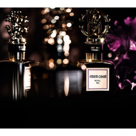 Royal Iris-روبرتو کاوالی رویال ایریس