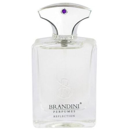Reflection Eau De Perfum BRANDINI-رفلکشن مردانه برندینی