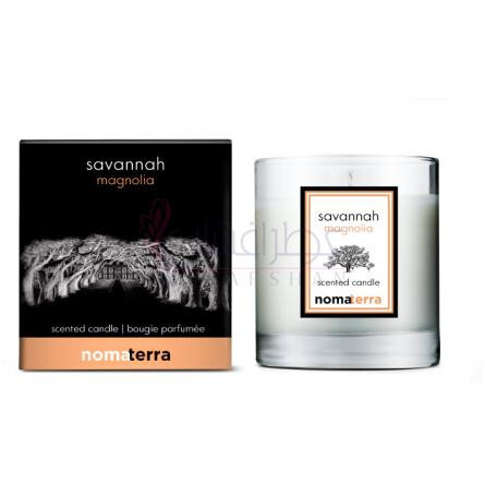 Savannah Magnolia-نوماتيرا ساوانا مگنولیا