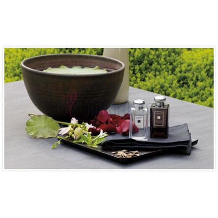 Lotus Blossom & Water Lily-جو مالون لوتوس بلوسوم اند واتر لیلی