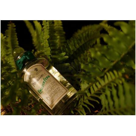 English Fern-پنهالیگونز انگلیش فرن