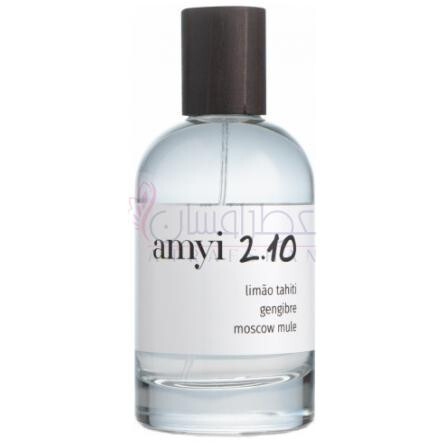 Amyi 2.10-آمی 2.10