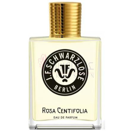 Rosa Centifolia-جی اف شوارزلوس برلين رزا سنتیفولیا