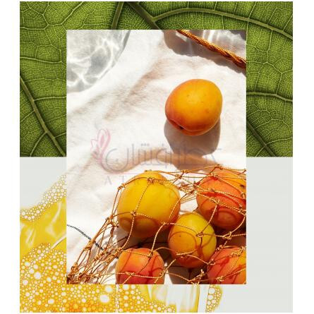 Utopia-آکوالیس یوتوپیا