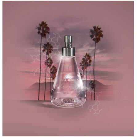 Holy-wood-نومن کالچر هالیوود