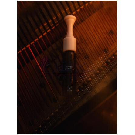 Violon Basse 16-فیلیپو سورسینلی ویولون بیس 16