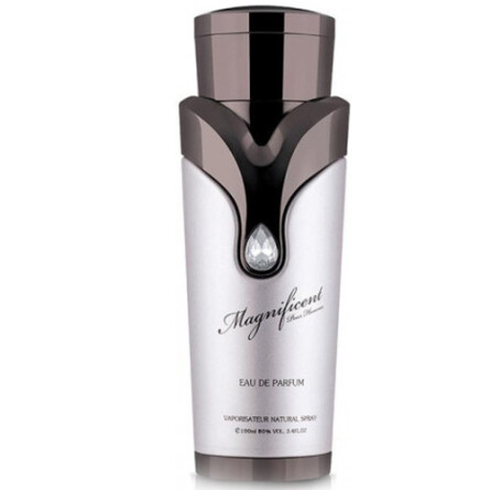 Magnificent Pour Homme-آرماف مگنیفیسنت پور هوم