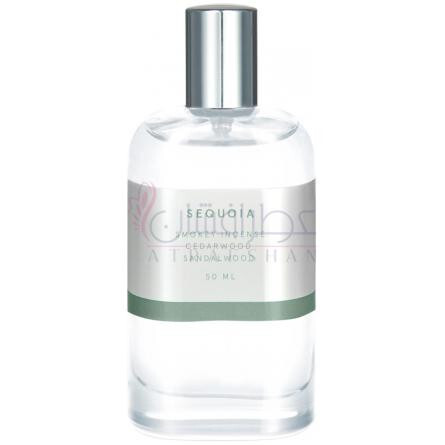 Sequoia-ابوت نیویورک سیتی سکویا