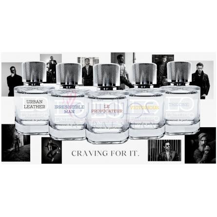 Irresistible Man-له آتلیرو ایرسیستیبل من