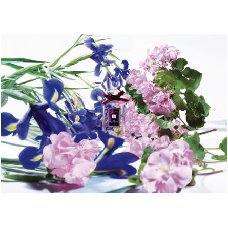 Iris & Lady Moore-جو مالون ایریس اند لیدی موری