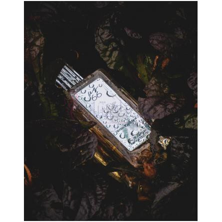 US66-اومنیا پروفومی یو اس 66