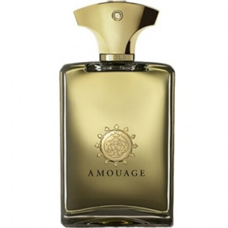 AMOUAGE Amouage Gold pour Homme 100