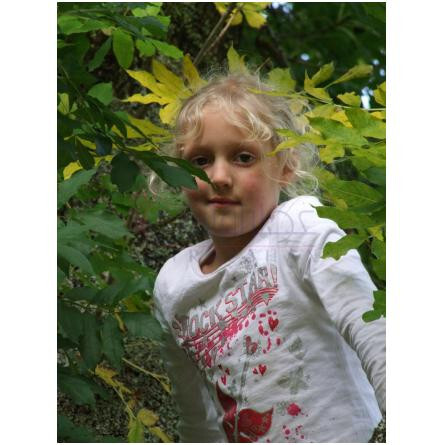 Pur Blond-بود پارفومز پور بلوند